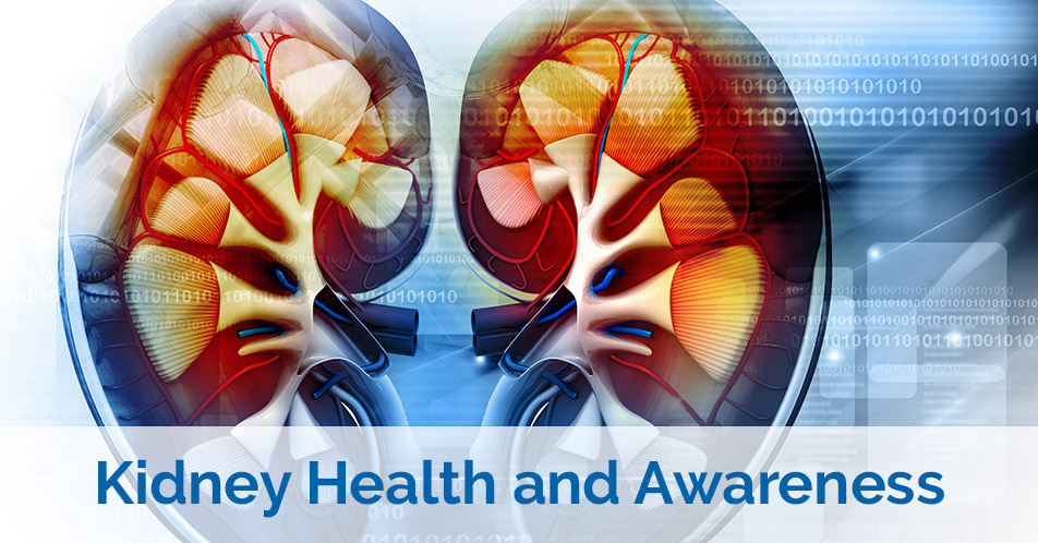 Kidney Health And Awareness Blog Cover
